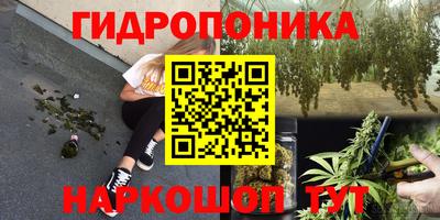 ALPHA PVP Бийск