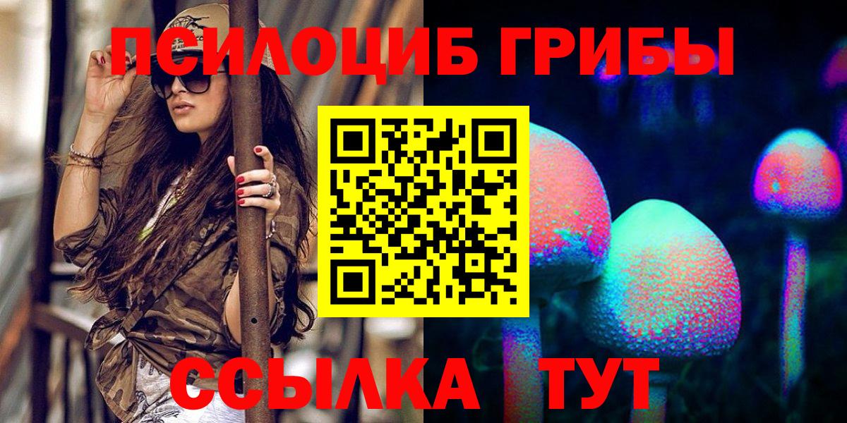 Галлюциногенные грибы Cubensis Ишим