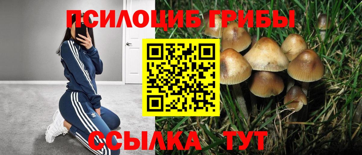 Галлюциногенные грибы MAGIC MUSHROOMS  Галлюциногенные грибы Psilocybe  Ишим  Вход с VPN 